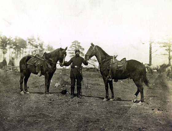 Col. Sharpe's horses, Falmouth, Va., April, 1863  33157u